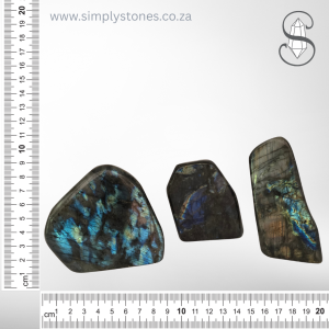 Labradorite Plinths