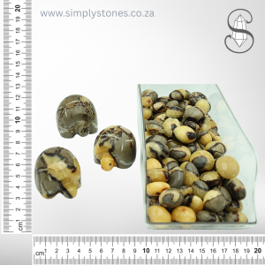 Septarian Turtles/Tumbled