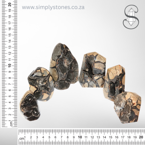 Septarian Open Face Geode