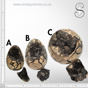 Septarian or ‘Dragon’s Egg’ Giants Facilitates communication and group participation.
