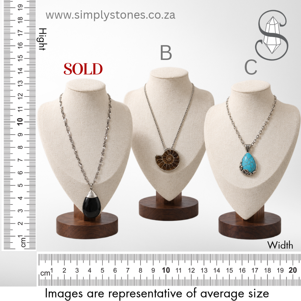 Vintage-Style Stone & Fossil Necklaces bloodstone ammonite turquoise Simply Stones Online Crystal Store